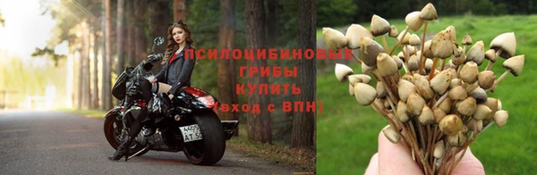 a pvp Инсар