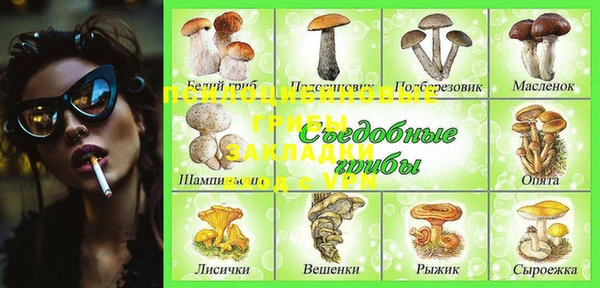 a pvp Инсар