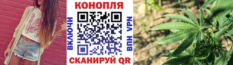 Конопля семена  Купить  Струнино 